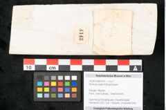 Foto (Objekt + Etikett) von Banksia ungeri Ettingshausen (NHMW-GEO-2024-0188-8143)
